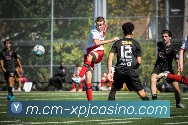 多媒体互动体验